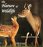 The Nature Of Wildlife