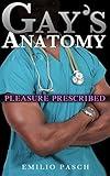 Gay's Anatomy: Pleasure Prescribed (medical, taboo, mmmm)