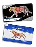 Dog and Cat Set, Veterinary Anatomy Pocket Charts, Anatomy & Veterinary Physiology Canine & Feline Workbook -36 Pages - 5." x 3" - for Vet Nurses and Students