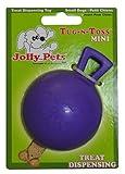 Jolly Pets Tug-n-Toss Heavy Duty Dog Toy Ball with Handle, 4 Inches/Petite, Purple (404 PR)