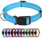 TagME Small Dog Collar, Adjustable Reflective Nylon Dog Collar with Quick Release Buckle, Sky Blue, 5/8" Width