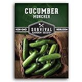 Survival Garden Seeds 1 Pack Muncher Cucumber Seeds for Planting – Seed Packet with Instructions to Grow Burpless Slicing Cucumbers in Your Home Vegetable Garden - Non-GMO Heirloom Variety