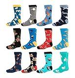 Mitch Bogen Boy's Novelty Crew Dress Fun Design Socks 12 Pairs Assorted Sports Shape Pattern (Boys 4, Medium)