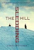 The Sledding Hill