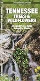 Tennessee Trees & Wildflowers: A Folding Pocket Guide to Familiar Plants (Nature Observation North America)