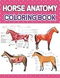 Horse Anatomy Coloring Book: Horse Anatomy Student's Self-Test Coloring & Activity Book. Introduction to Veterinary Anatomy and Physiology Workbook. ... younger kids for learn anatomy of Horse.