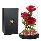 Mothers Day Rose Gifts for Mom,Beauty and The Beast Rose in Glass Dome with Lights, Mothers Day Flowers Birthday Gifts for Women,Anniversary Rose Gifts for Wife,Red Silk Rose Flower Gifts for Women
