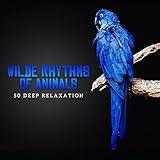 Wilde Rhythms of Animals: 50 Tracks, Amazing Sounds to Create Your Private Jungle at Home, Zen Spa & Deep Relaxation