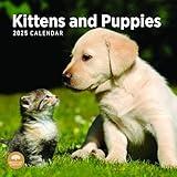 2025 Kittens and Puppies Monthly Wall Calendar by Bright Day, 12 x 12 Inch Cute Dog Breed Gift