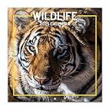 Wildlife Wall Calendar 2025 12" x 12" FSC® Plastic Free - Starts Week On Sunday | Square Wall Calendar | Family Planner Calendar 2025 | Animal Calendar 2025