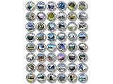 Sheet of 42: 1 inch Round Canadian National Parks Stickers (Hike Scrapbooking Canada Travel rv Small)