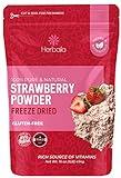 Freeze Dried Strawberry Powder 1lb, No Sugar Added - Pure All Natural Strawberry Powder for Baking, Freeze Dried Strawberries Powder for Flavoring. Non GMO, Gluten Free, Made in The USA