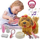 Toy Dog That Walk and Bark, Sing, Wag Tail, Lick, Repeat Your Words & Plush Golden Stuffed Puppy for Boys, Girls Toy Dogs