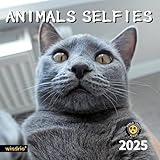 2025 Wall Calendar,Funny Calendar 2025, November 2024 - December 2025, Wall Calendar Funny Animal Memes, 12" x 24" Opened, Full Page 14 Months Thick Paper for Gift Calendar Organizing Planning