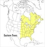 A Peterson Field Guide To Eastern Trees: Eastern United States and Canada, Including the Midwest