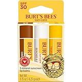 Burt's Bees Island Getaway Sun Care SPF 30 Lip Balm Stocking Stuffers, Water-Resistant Lip Moisturizer Christmas Gifts, Nano-Free Zinc Oxide Formula, Natural Conditioning Lip Treatment (3-Pack)