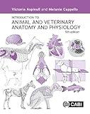 Introduction to Animal and Veterinary Anatomy and Physiology