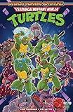 Teenage Mutant Ninja Turtles: Saturday Morning Adventures, Vol. 1 (Teenage Mutant Ninja Turtles: Saturday Morning Adventures, 1)