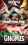 Tempting the Christmas Gnomes: Spicy Holiday Monster Erotica