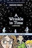 A Wrinkle in Time: The Graphic Novel