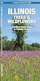 Illinois Trees & Wildflowers: A Folding Pocket Guide to Familiar Plants (Nature Observation North America)