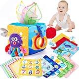 hahaland Baby Tissue Box Toy - Baby Toys 6-12 Months Montessori Toys for 6 Month Old with Textured Tails, Cloth Tissues, Crinkle, Squeaky Sounds, Mirror - Gifts Play Silks Sensoy Scarves for Babies