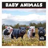 MICASA Baby Animals 2025 Wall Calendar 12 Month | 12" x 24" Open | Thick & Sturdy Paper | Giftable | Calendar 2025