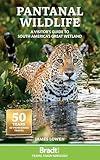 Pantanal Wildlife: A Visitor’s Guide to South America’s Great Wetland