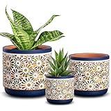 Qipecedm 3 Piece Ceramic Plant Pots, 5.7/4.7/3.5/inch Planters with Drainage Hole, Outdoor Indoor Flower Pots Set, Modern Decorative Plant Pots for Lilies, Cacti, Succulents, Snakes, Bamboo(Blue)