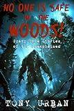 No One is Safe In the Woods: Scary True Stories of the Unexplained (Beware of the Woods)