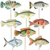 20pcs Fishing Cupcake Topper, Baby Shower Fishing Party Decorations, Bass Party Picks Double Sided Cake Toppers for Fisherman Themed Birthday Retirement Fishing Tournament Cake Decor