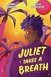 Juliet Takes a Breath: The Graphic Novel