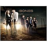 Bones (TV Series 2005 -) 8 inch x 10 inch Photo Cast in Headlights FOX Title Poster kn