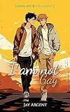 I am Not Gay: Gay Teen Romance (Fairmont Boys Book 2)