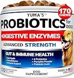 Probiotics for Dogs and Digestive Enzymes - 170 Dog Probiotics Chews - Dog Probiotic - Anti Diarrhea, Upset Stomach & Gas Relief, Constipation, Canine Prebiotic - Pet Fiber Supplement - Gut Health