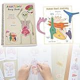 Busy Book for Kids - Human Body Anatomy Readings for Toddlers, Educational Toys Learning Materials for Preschool, 63 Pages, 1 Pcs