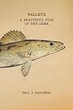 Walleye: A Beautiful Fish of the Dark