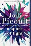 A Spark of Light: A Novel