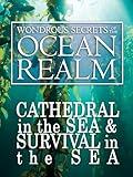 Wondrous Secrets of the Ocean Realm: Cathedral in the Sea & Survival in the Sea
