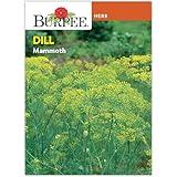 Burpee Dill Seeds, 1.8g Non-GMO Herb Seeds for Planting