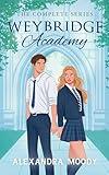 Weybridge Academy: The Complete Series