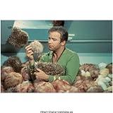William Shatner 8x10 Photo Star Trek Trouble With Tribbles Jg