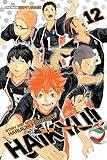 Haikyu!!, Vol. 12: The Tournament Begins!