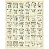 Meishe Art Vintage Roman Column Poster Print Ancient Chart Architecture Building Architectural Elements Illustration Collection Identification Reference Club Home Wall Decor (22.05'' x 27.56'')