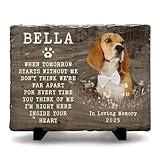 Kilyhome Personalized Memorial Stone - Multihued Plaque to Mark Vibrant Memory of Your Dog and Cat, Elegant Home and Garden Decor, Indoor and Outdoor, Pet Loss of Sympathy Gift
