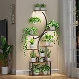 BACEKOLL Plant Stand Indoor with Grow Lights, 8 Tiered Indoor Plant Shelf, 62" Tall Plant Stand for Indoor Plants Multiple, Metal Plant Flower Holder, S-Shaped Plant Rack for Home,Patio(Patent Design)