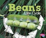 A Bean's Life Cycle (Explore Life Cycles)