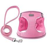 BOOMIBOO Dog Harness with Leash Set, No Pull Adjustable Reflective Step-in Puppy Pet Vest Harnesses for Small Medium Large Dogs and Cats,Pink XS