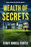 Wealth of Secrets: (Christian Romantic Suspense) (Texas Security Series Book 1)