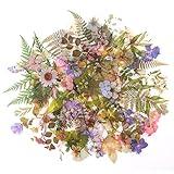 RisyPisy 160pcs Pre-Cut Scrapbooks Natural Stickers, Floral and Plant Sticker for DIY Craft, Planners, Journal, Notebook, Laptop, Cell Phone, Calendars, Wedding Father's Day